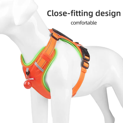 Petsify AirStride™ Adjustable Dog Harness