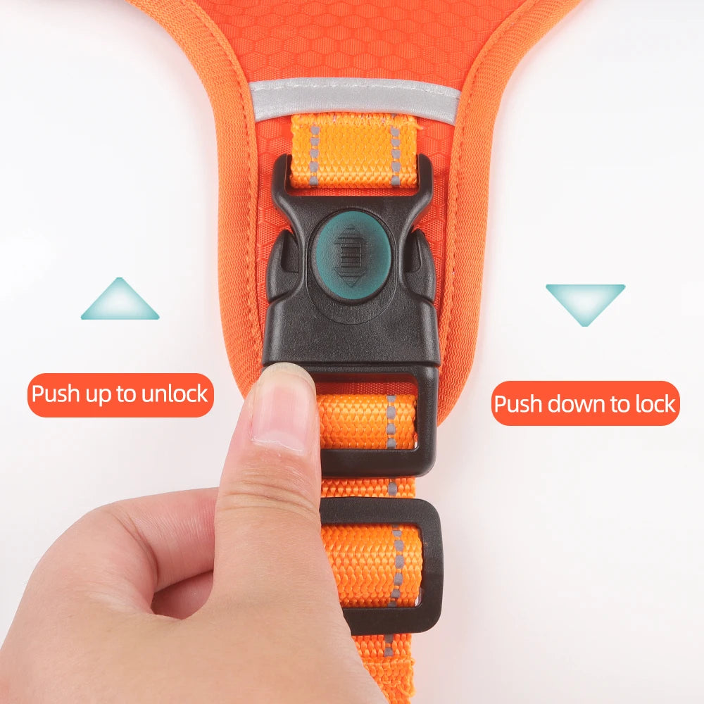 Petsify AirStride™ Adjustable Dog Harness