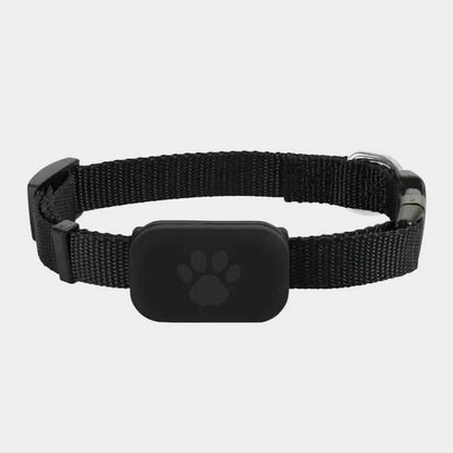 Petsify FindMy™ Apple Find My Pet Tracker