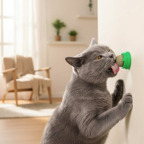 Petsify ZenSphere™ Wall-Mounted Catnip Ball