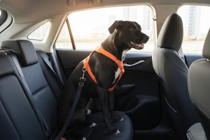 Petsify GuardianRide™ Adjustable Pet Seat Belt