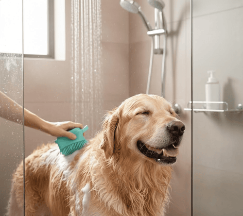 Petsify HydroGlide™ Silicone Pet Bath Brush
