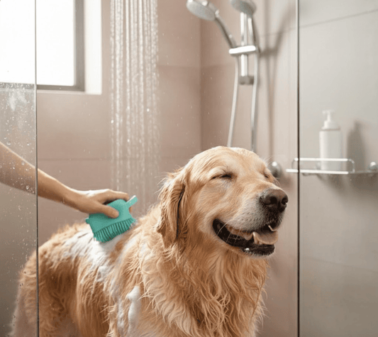 Petsify HydroGlide™ Silicone Pet Bath Brush