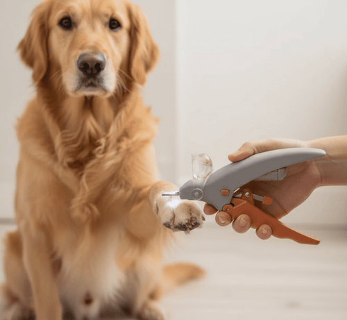 Petsify LumiTrim™ LED Pet Nail Clippers