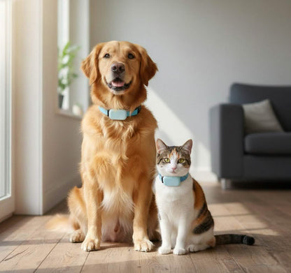 Petsify FindMy™ Apple Find My Pet Tracker