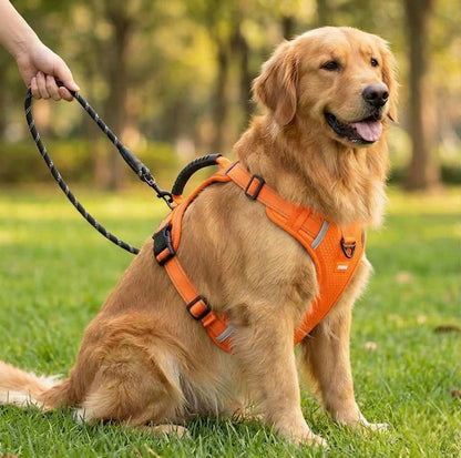 Petsify AirStride™ Adjustable Dog Harness