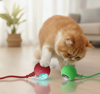 Red and green Petsify SmartChase cat toy color options