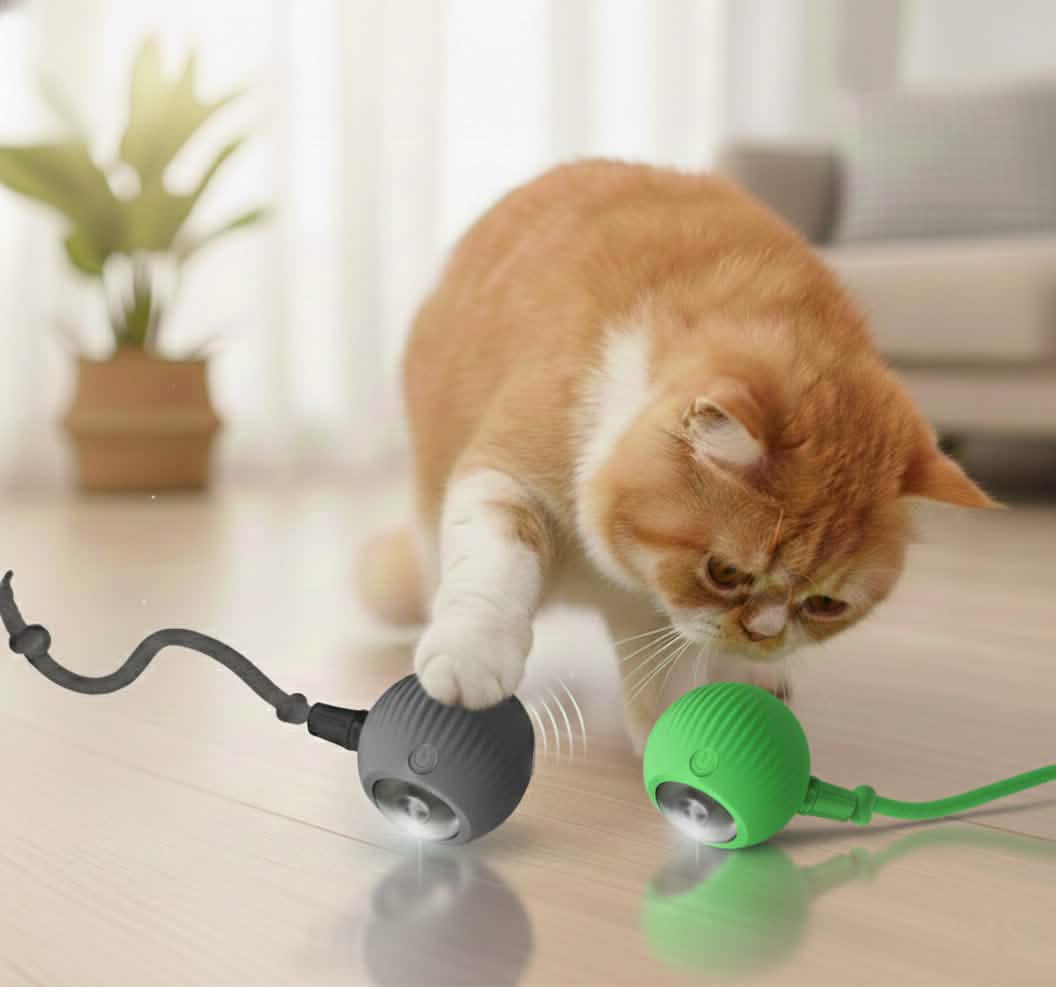Gray and green Petsify SmartChase cat toy color options